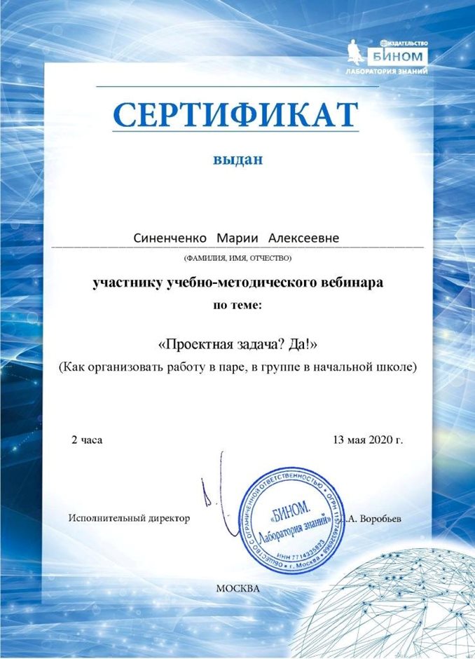 2019-2020 Синенченко М.А. (проектная задача)